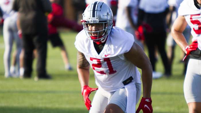 Linebacker Palaie Gaoteote